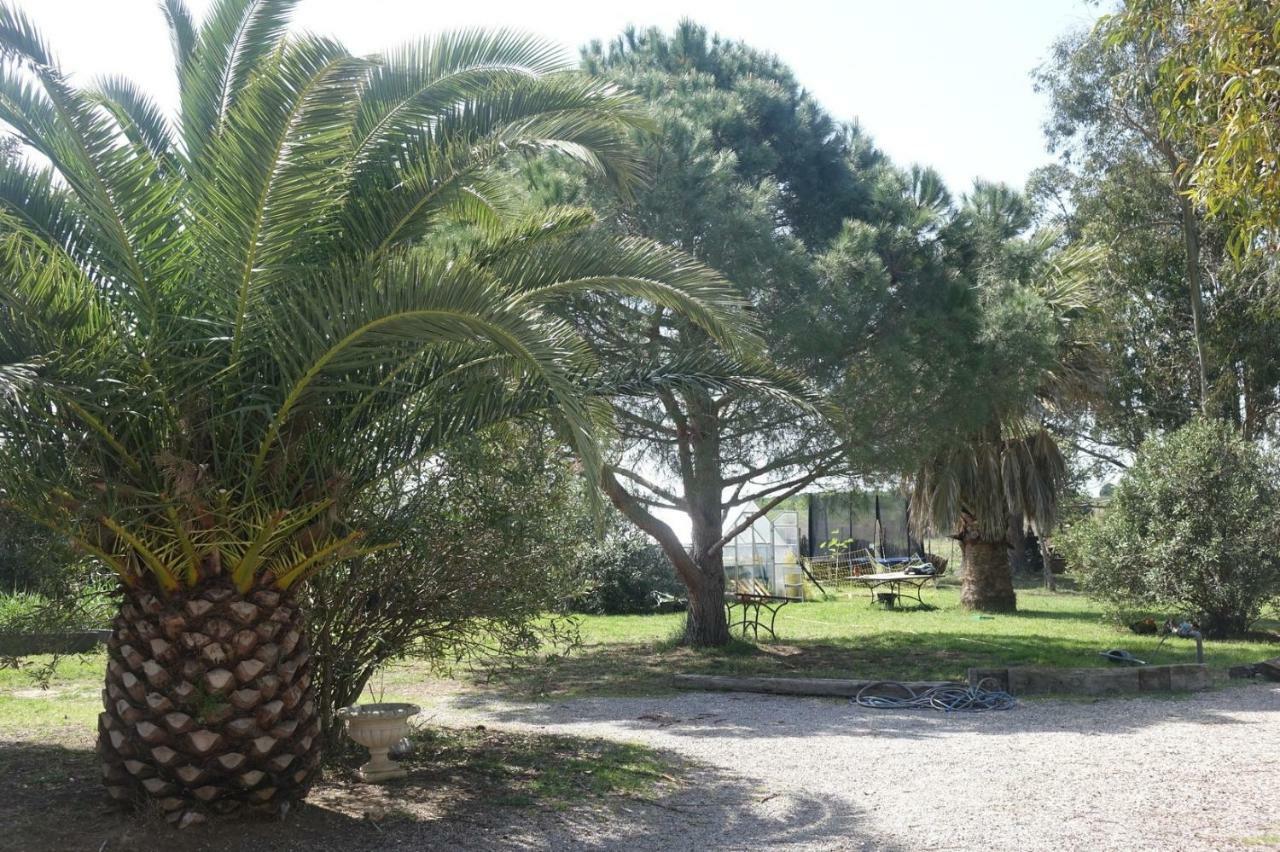 Villa Mas Du Roc Saint-Nazaire  Exterior foto